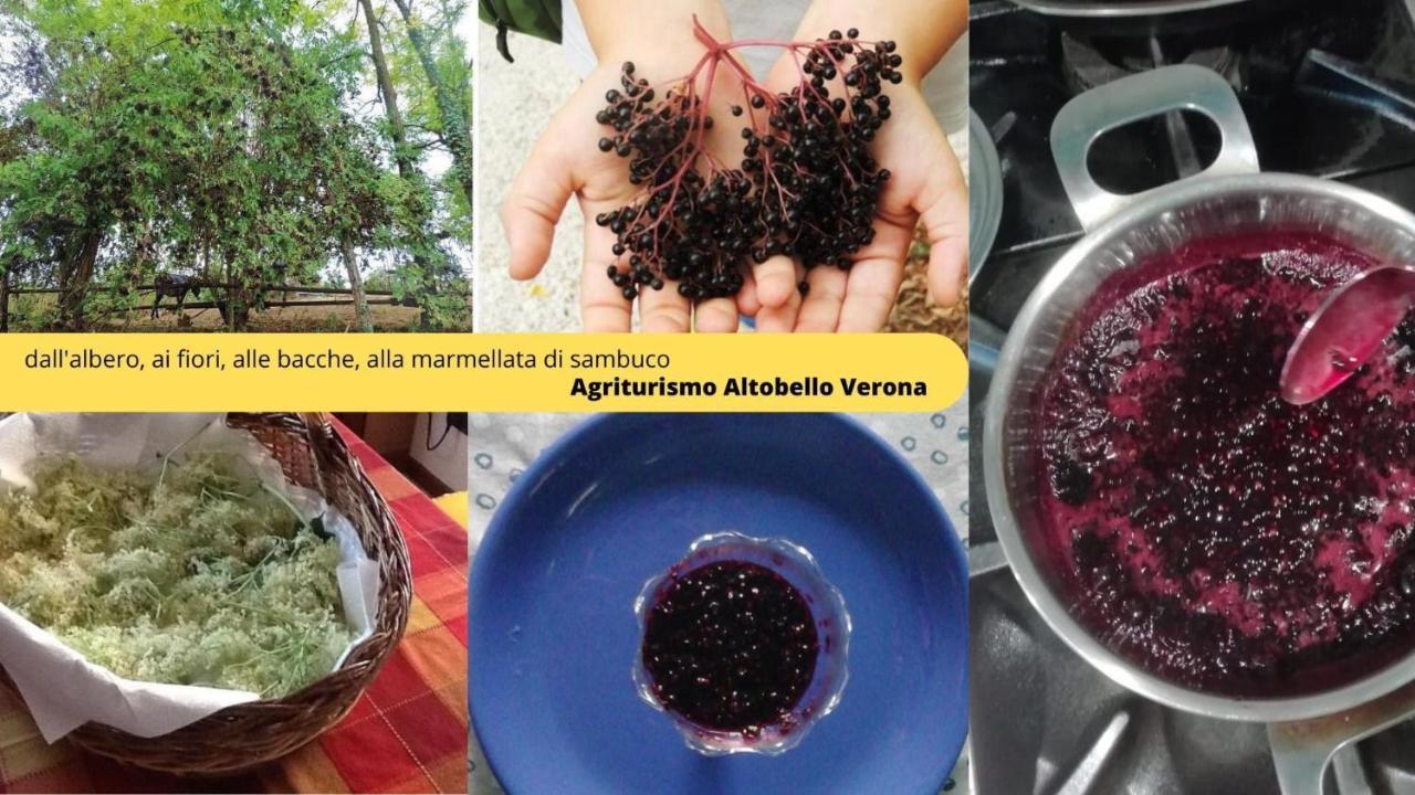 Agriturismo Altobello Verona Eksteriør bilde