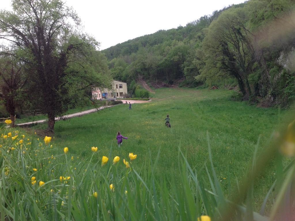 Agriturismo Altobello Verona Eksteriør bilde