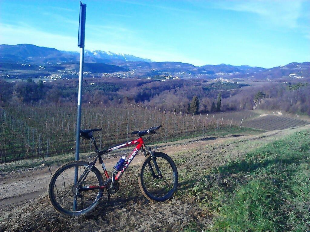 Agriturismo Altobello Verona Eksteriør bilde