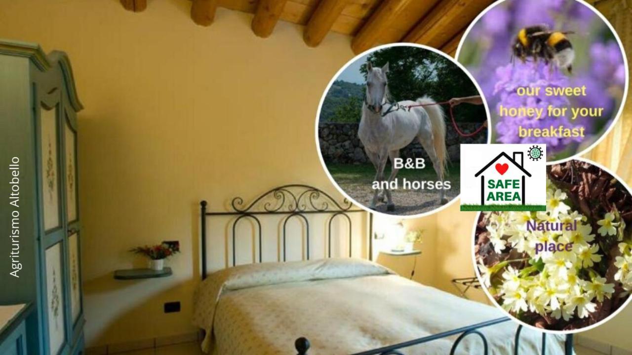 Agriturismo Altobello Verona Eksteriør bilde
